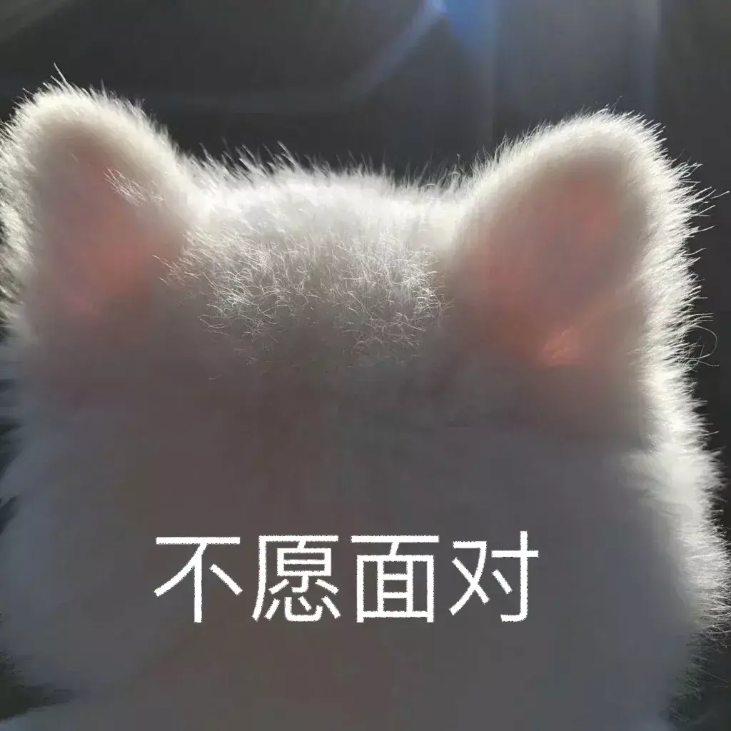 p站是什么网站,怎么进?(35)
