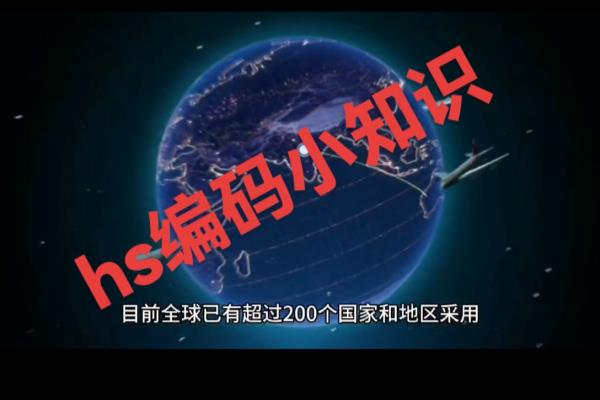 hs在海关是什么意思.