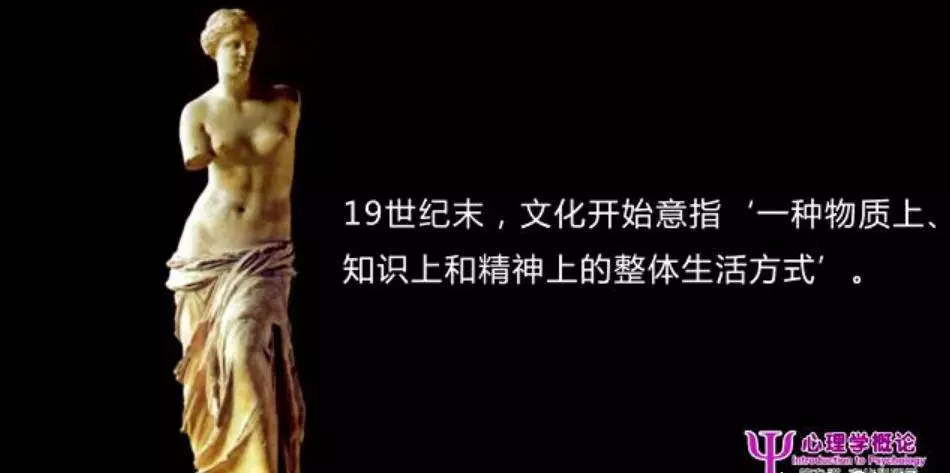 文化心理学要解决哪些问题(5)