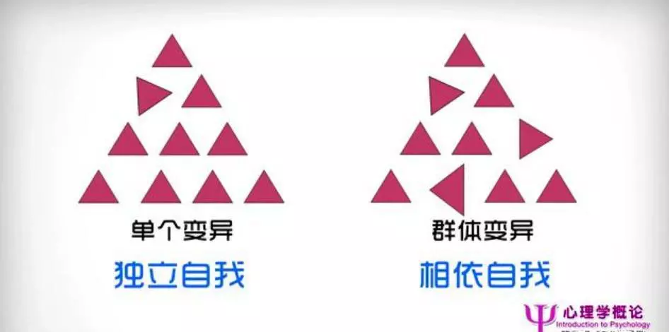 文化心理学要解决哪些问题(60)