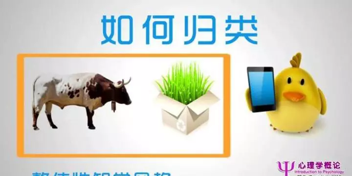 文化心理学要解决哪些问题(72)