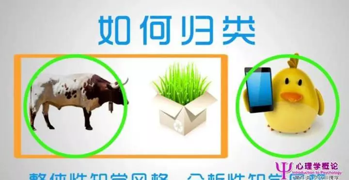 文化心理学要解决哪些问题(74)