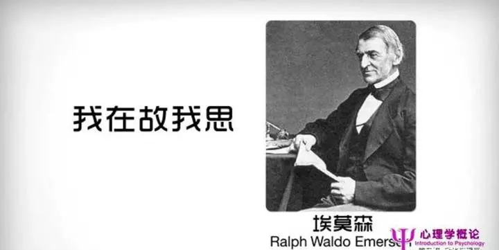 文化心理学要解决哪些问题(91)