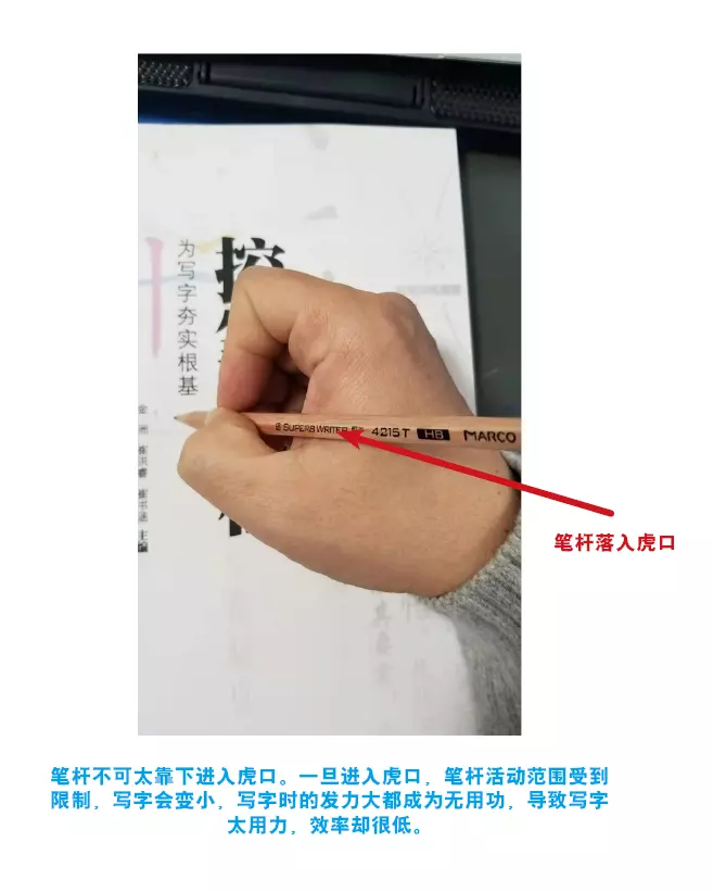 抓笔的正确姿势图角度(17)