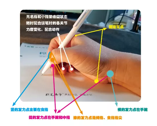 抓笔的正确姿势图角度(29)
