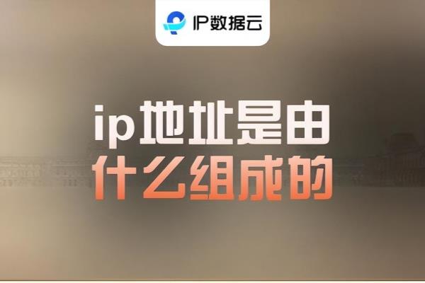 ip地址是由什么组成的选择题.