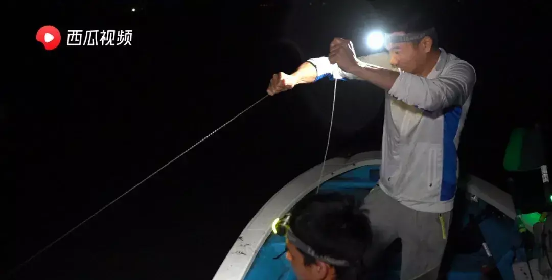 阿烽赶海为什么不更新了(10)