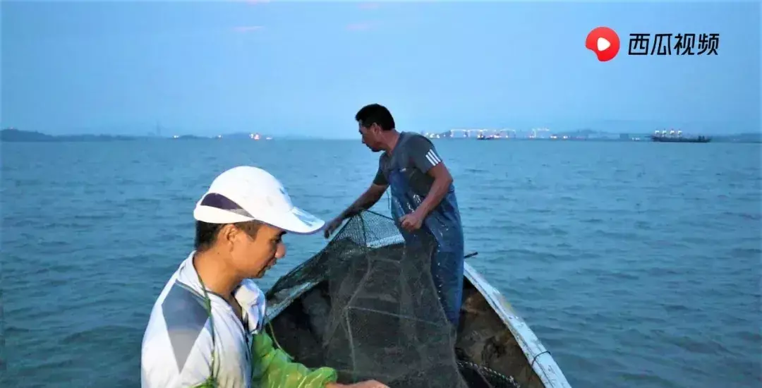 阿烽赶海为什么不更新了(3)