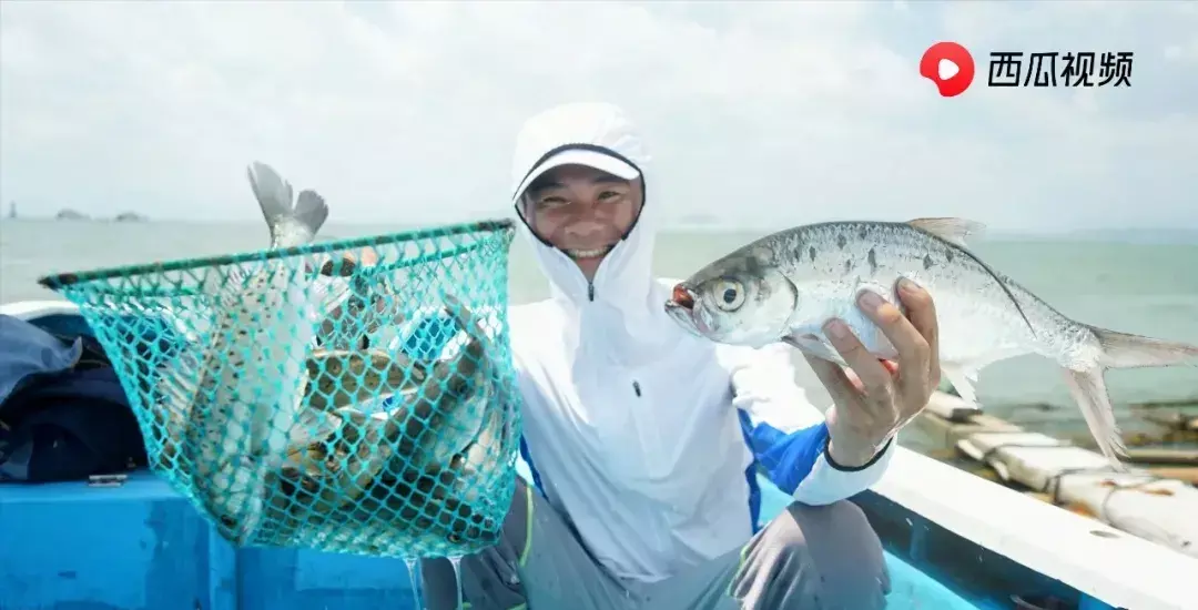 阿烽赶海为什么不更新了(6)
