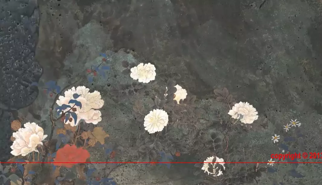 夏虫动漫讲的是什么(30)