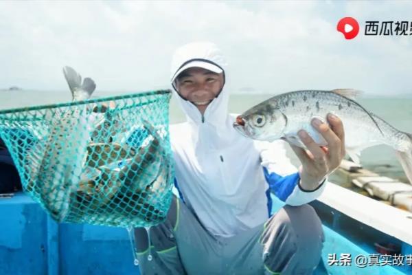 阿烽赶海为什么不更新了.