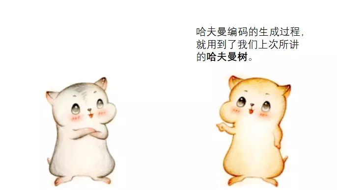 ASCII码是不等长编码吗(19)