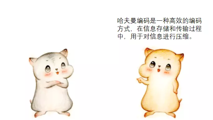 ASCII码是不等长编码吗(2)