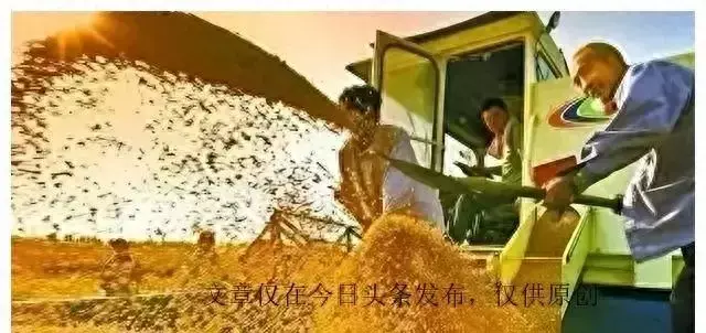 2023都有哪些粮仓失火(1)