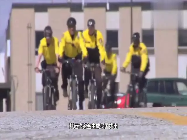 我国哪一年加入国际刑事警察组织(2)