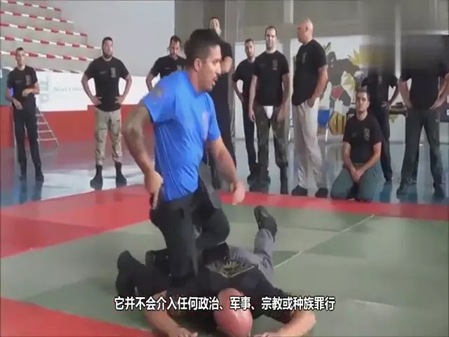 我国哪一年加入国际刑事警察组织(3)
