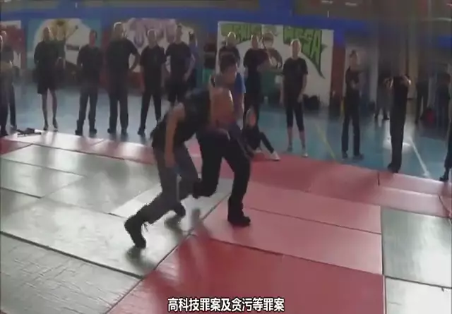 我国哪一年加入国际刑事警察组织(4)