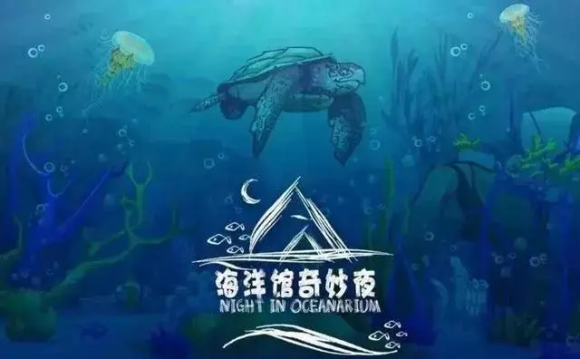 上海的海洋公园哪家最好(7)