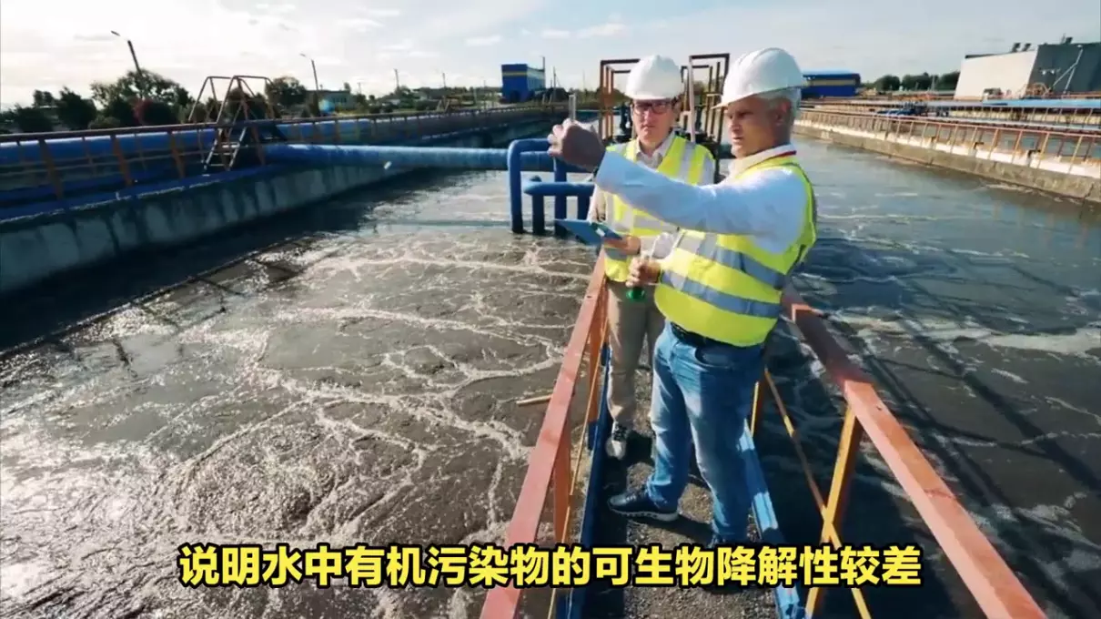 污水处理厂bod5是什么意思(2)