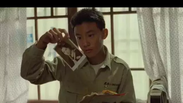 台湾人为什么讨厌牯岭街少年(11)