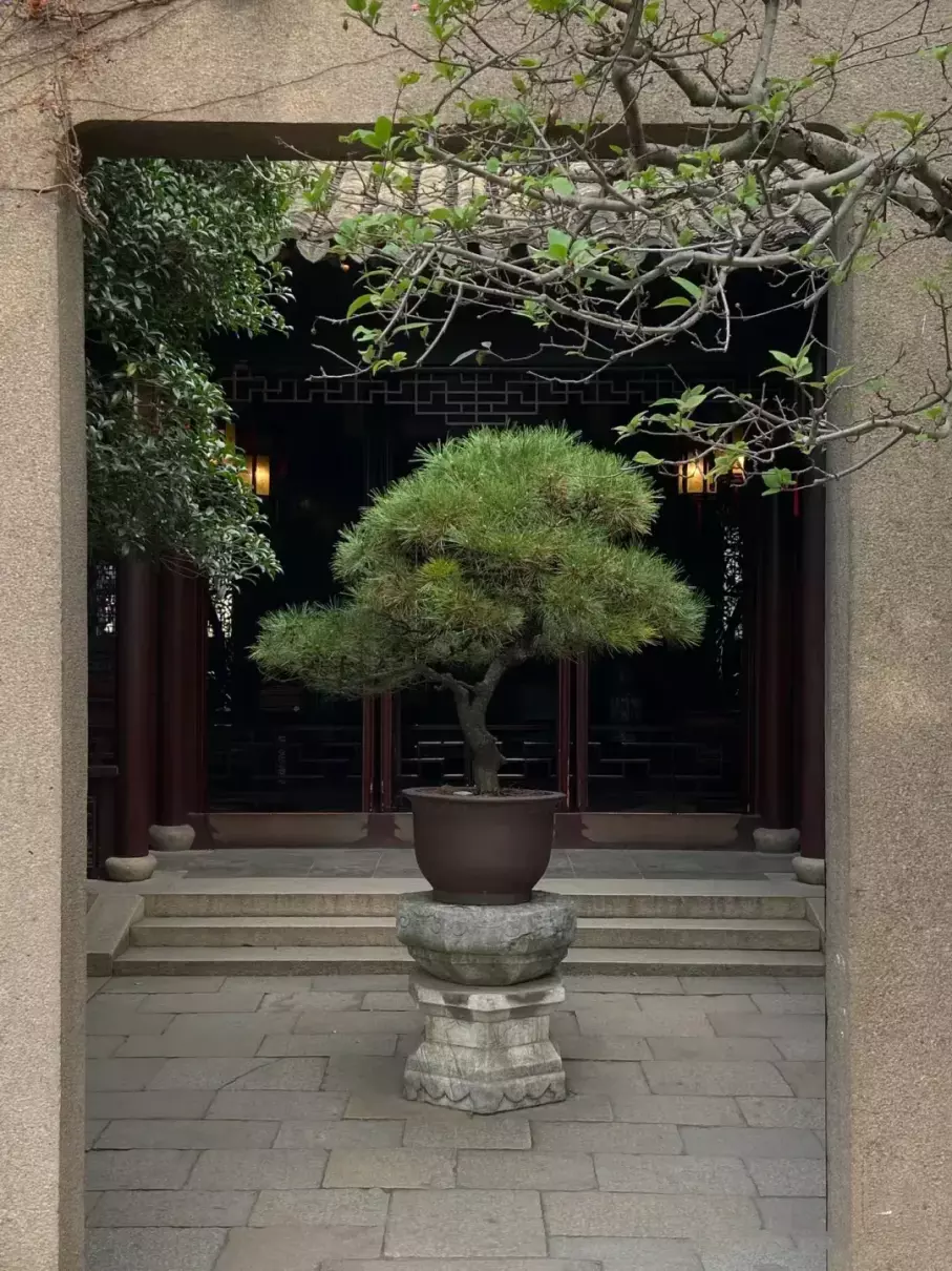 女生二人去苏州旅游安全吗(10)