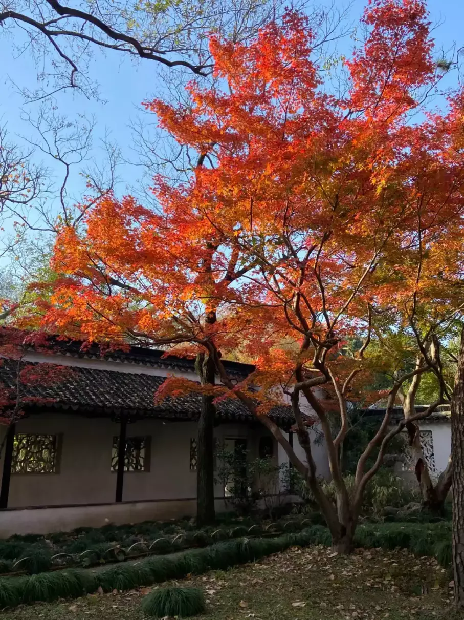 女生二人去苏州旅游安全吗(2)