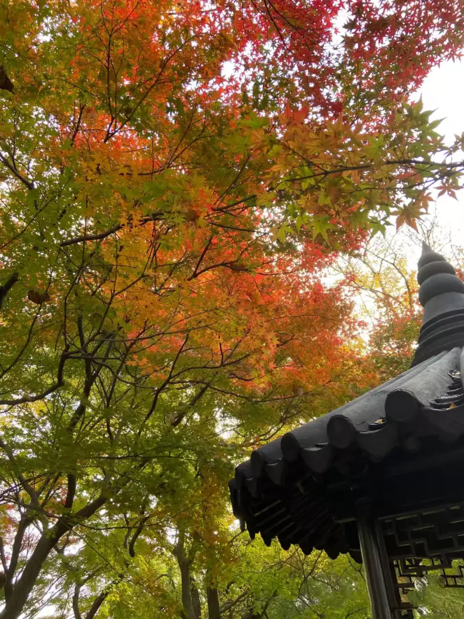 女生二人去苏州旅游安全吗(9)