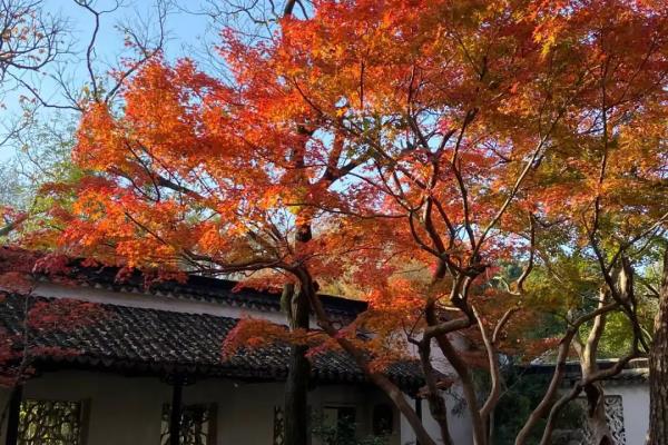 女生二人去苏州旅游安全吗.