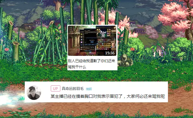 命运的羽毛后来怎么样了(3)
