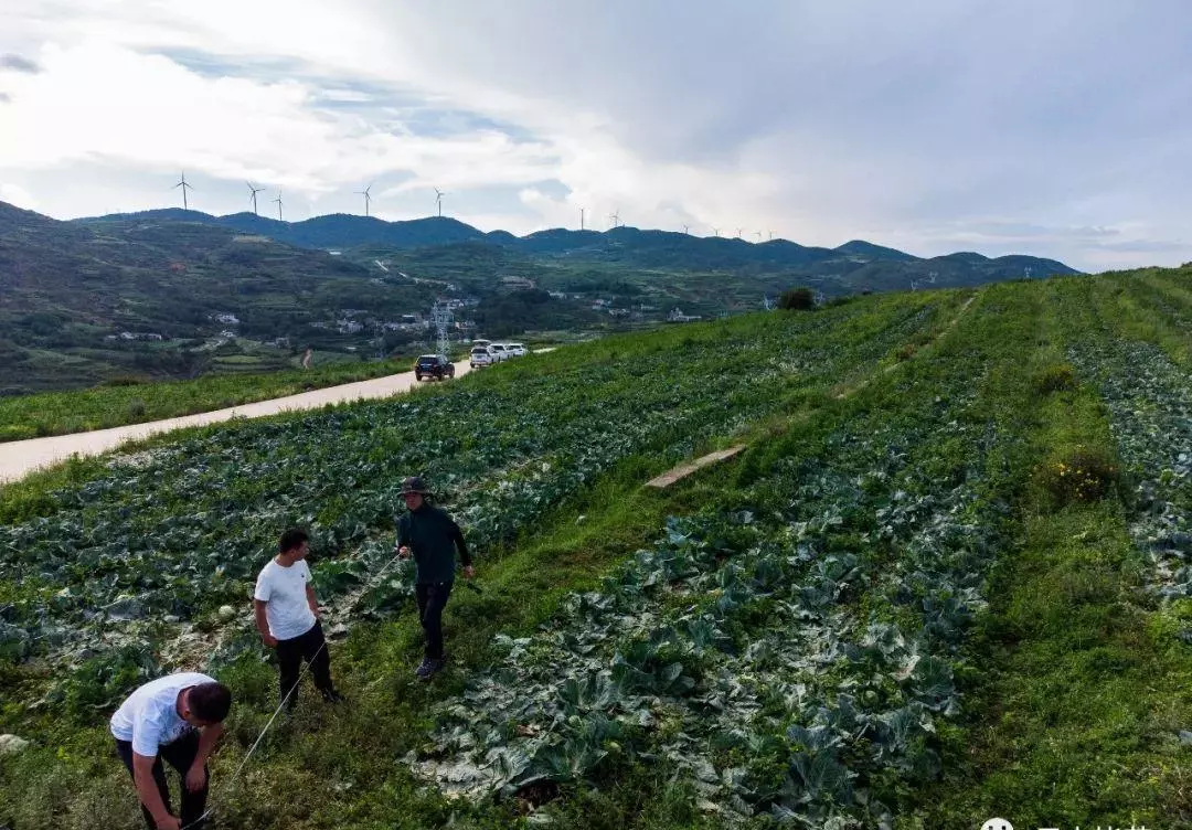 威宁新闻联播主持人名单(5)