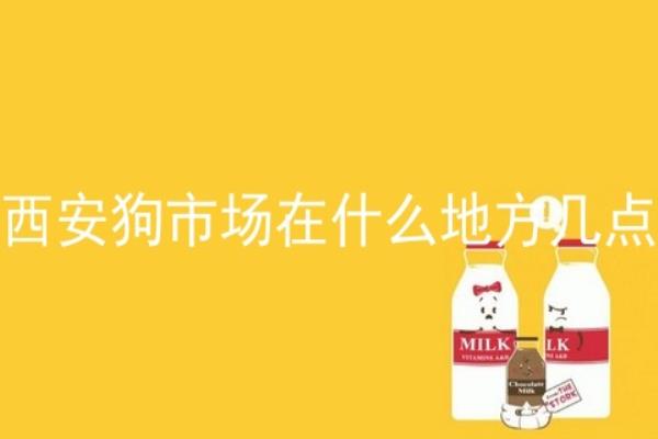 西安狗市在什么地方,几点开始.