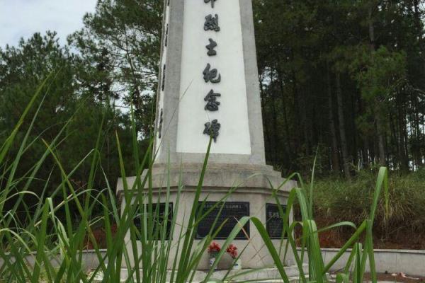 和平县到林寨镇有多少公里.