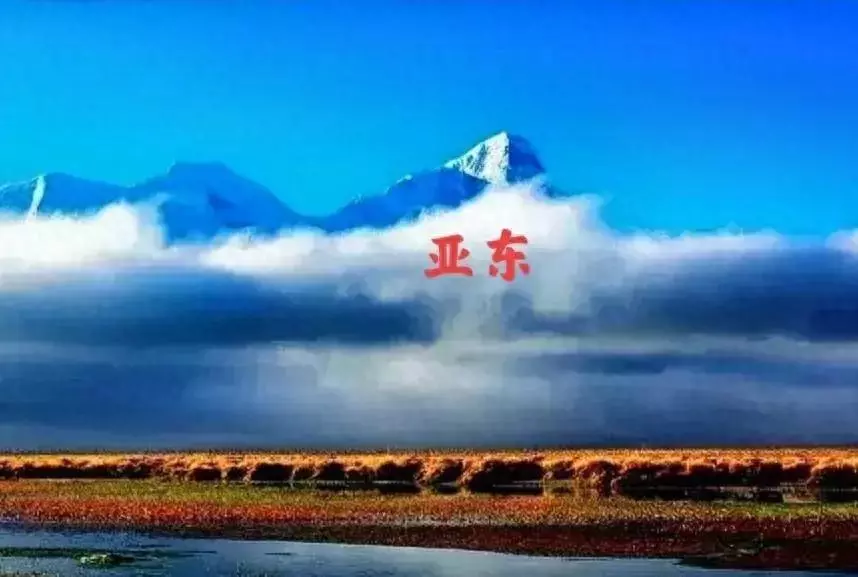 亚东县怎么被不丹占领的(1)