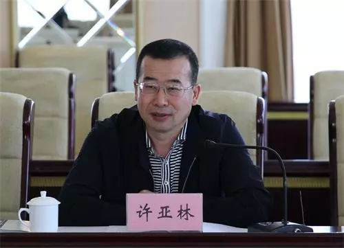许亚林案件中的原因分析(1)