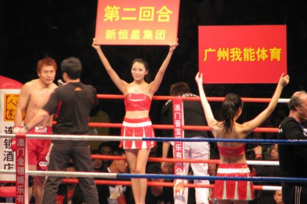 为什么苑玉宝后来没了消息.