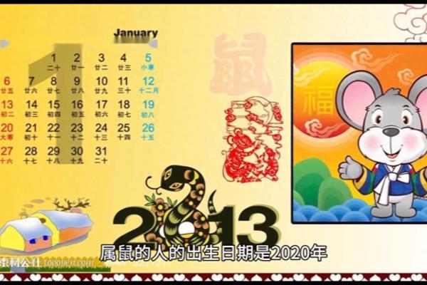08年是什么年属啥的.