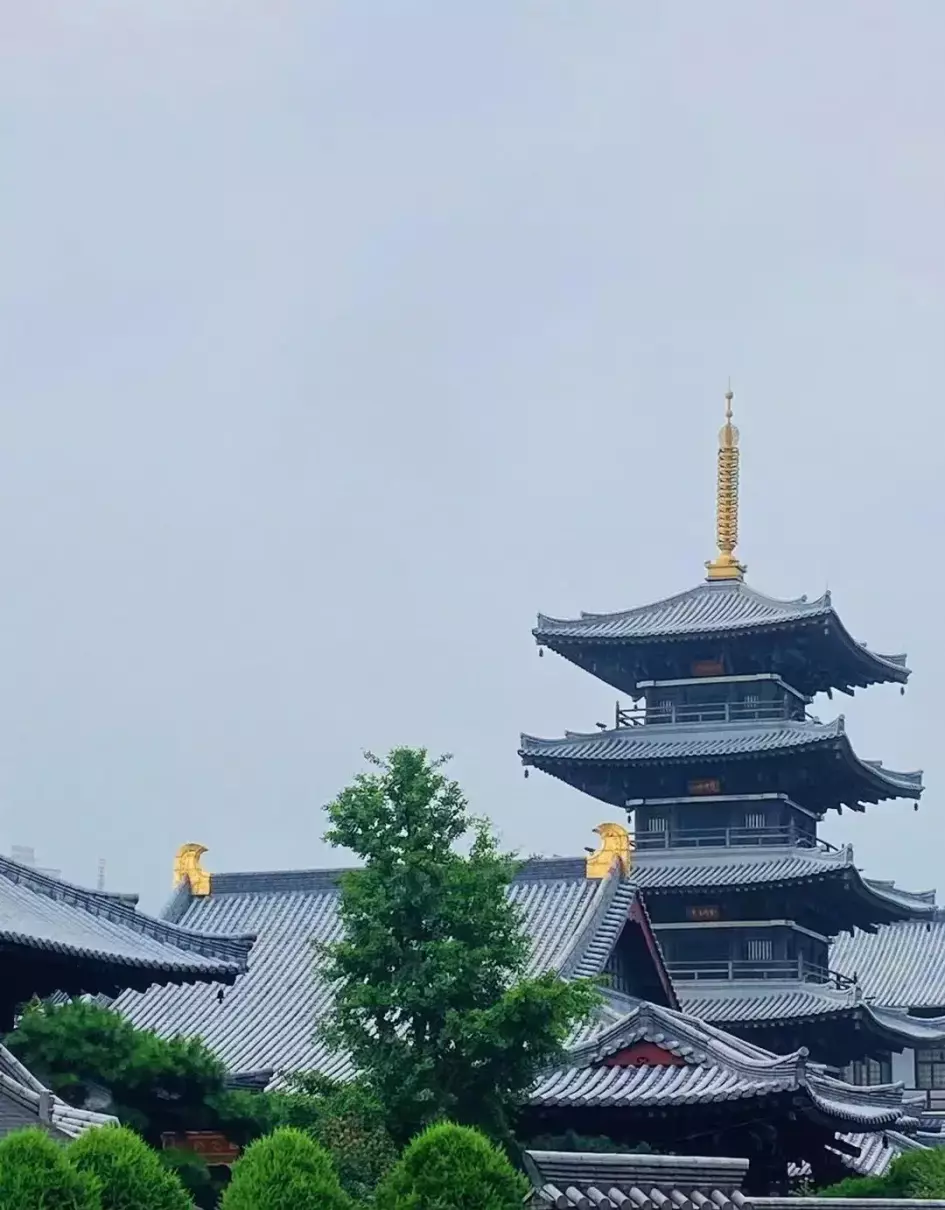 慈溪人为什么不说自己是宁波人(29)