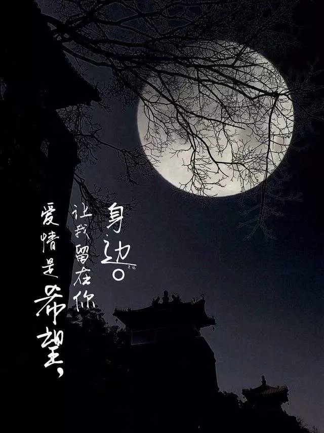 手机怎样拍月亮又清晰又漂亮(24)