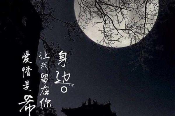 手机怎样拍月亮又清晰又漂亮.
