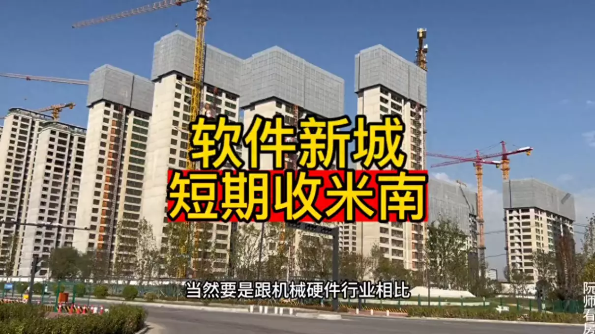 软件新城和高新三期哪个发展好(1)