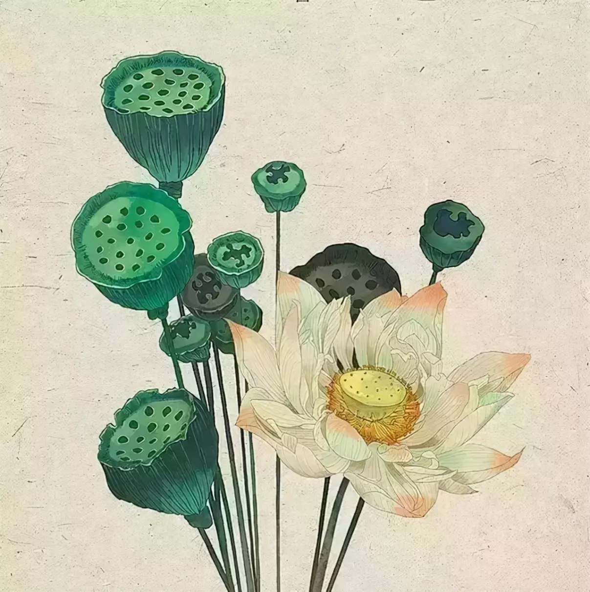 最搞笑的脑筋急转弯有哪些?(4)