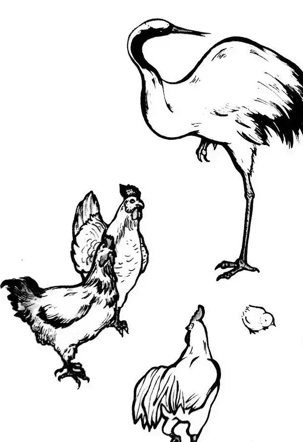 鹤立鸡群褒义词还是贬义词(2)
