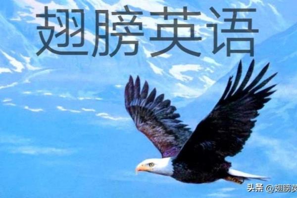 argue的名词形式必须去e吗.