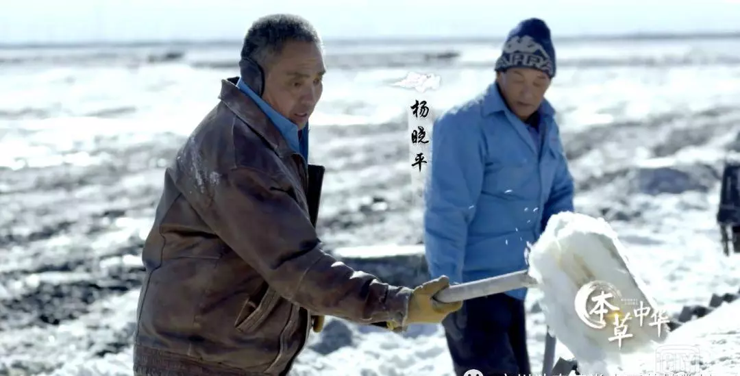 芒硝为什么改成玄明粉了(5)