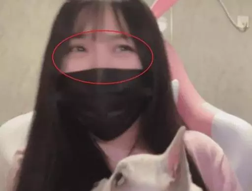 一条小团团露脸其他主播的反应(4)