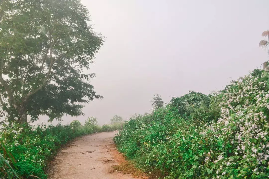 《绝句》全部 古诗(5)