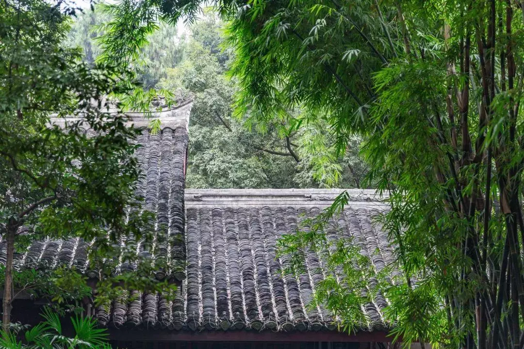 《绝句》全部 古诗(7)