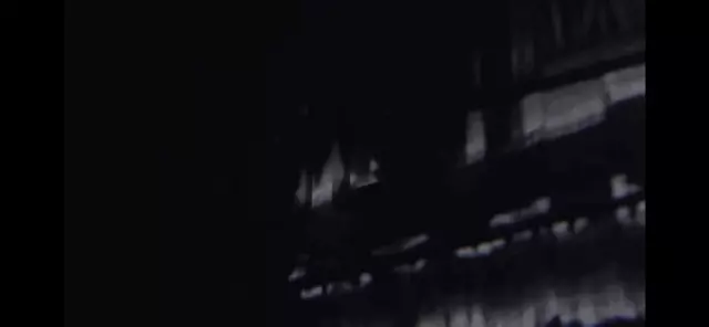 lily和LILY牌子是一样吗(1)