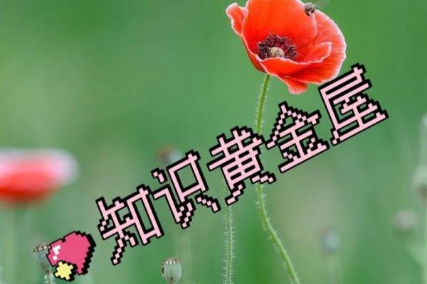 文化与知识的区别知识和文化意思.