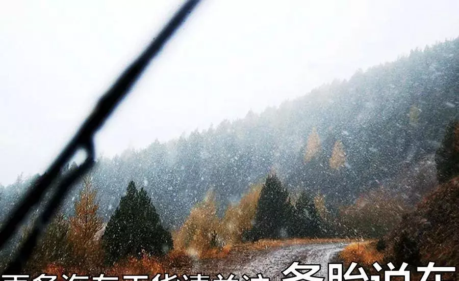卡罗拉底盘容易磕坏吗(11)